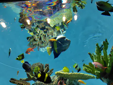 葛西臨海水族園に投稿された画像（2026/3/20）