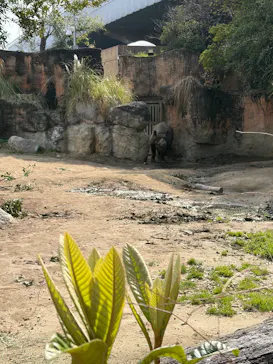 天王寺動物園に投稿された画像（2026/3/20）