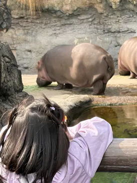 天王寺動物園に投稿された画像（2026/3/20）