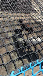 那須高原りんどう湖ファミリー牧場に投稿された画像（2026/3/20）