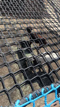 那須高原りんどう湖ファミリー牧場に投稿された画像（2026/3/20）