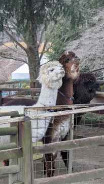 那須高原りんどう湖ファミリー牧場に投稿された画像（2026/3/20）