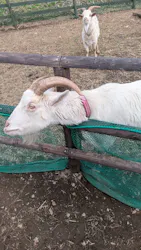 那須高原りんどう湖ファミリー牧場に投稿された画像（2026/3/20）