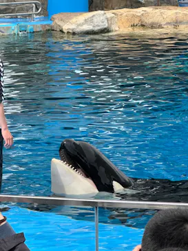 名古屋港水族館に投稿された画像（2026/3/20）