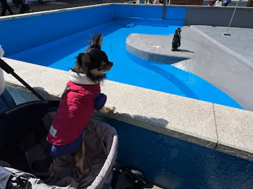 南知多ビーチランド＆南知多おもちゃ王国に投稿された画像（2026/3/20）