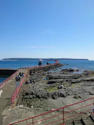 串本海中公園水族館に投稿された画像（2026/3/20）