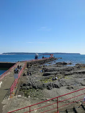 串本海中公園水族館に投稿された画像（2026/3/20）