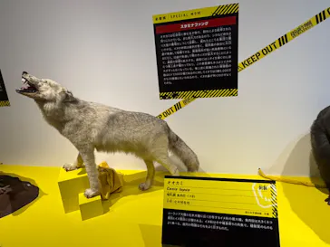 特別展「超危険生物展　科学で挑む生き物の本気」に投稿された画像（2026/3/20）