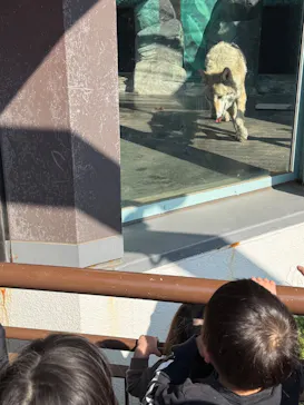 天王寺動物園に投稿された画像（2026/3/20）