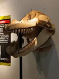 特別展「超危険生物展　科学で挑む生き物の本気」に投稿された画像（2026/3/21）
