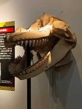 特別展「超危険生物展　科学で挑む生き物の本気」に投稿された画像（2026/3/20）