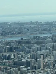 東京スカイツリーに投稿された画像（2026/3/20）