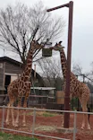 こども動物自然公園（埼玉県公園緑地協会）に投稿された画像（2026/3/21）
