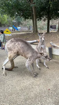 こども動物自然公園（埼玉県公園緑地協会）に投稿された画像（2026/3/20）