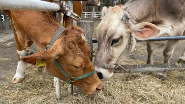 こども動物自然公園（埼玉県公園緑地協会）に投稿された画像（2026/3/20）