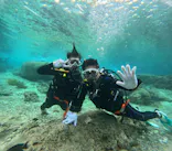 沖縄ダイビングショップシーモールに投稿された画像（2026/3/21）