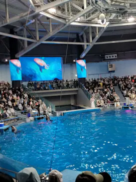 マクセル アクアパーク品川に投稿された画像（2026/3/20）