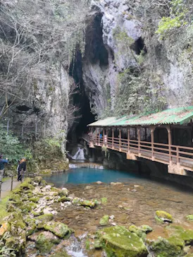 秋芳洞に投稿された画像（2026/3/20）