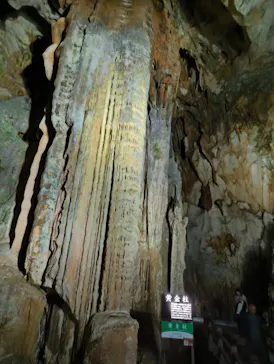 秋芳洞に投稿された画像（2026/3/20）