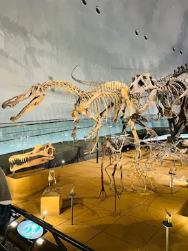 福井県立恐竜博物館に投稿された画像（2026/3/20）