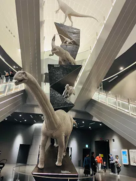 福井県立恐竜博物館に投稿された画像（2026/3/20）