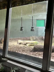 名古屋市東山動植物園に投稿された画像（2026/3/21）