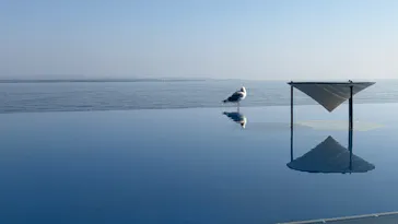 大分マリーンパレス水族館 「うみたまご」に投稿された画像（2026/3/21）