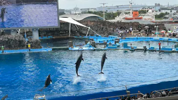 名古屋港水族館に投稿された画像（2026/3/21）