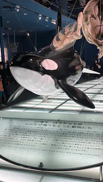 名古屋港水族館に投稿された画像（2026/3/21）