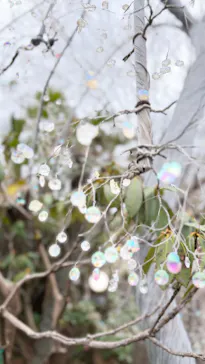 箱根ガラスの森美術館に投稿された画像（2026/3/21）