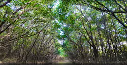 やんばる案内人Tida-Smile（ティーダスマイル）に投稿された画像（2026/3/21）