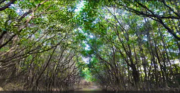 やんばる案内人Tida-Smile（ティーダスマイル）に投稿された画像（2026/3/21）