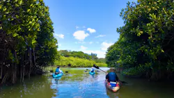 やんばる案内人Tida-Smile（ティーダスマイル）に投稿された画像（2026/3/21）