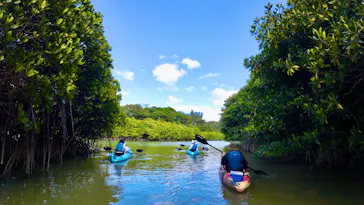 やんばる案内人Tida-Smile（ティーダスマイル）に投稿された画像（2026/3/21）