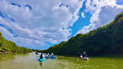 やんばる案内人Tida-Smile（ティーダスマイル）に投稿された画像（2026/3/21）