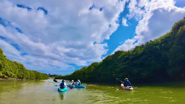 やんばる案内人Tida-Smile（ティーダスマイル）に投稿された画像（2026/3/21）