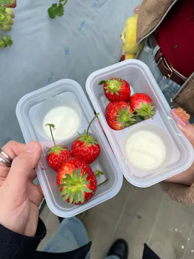 すごう農園直売所ピアッツァに投稿された画像（2026/3/21）