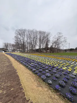 森ファームに投稿された画像（2026/3/21）