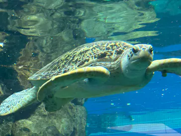 名古屋港水族館に投稿された画像（2026/3/21）