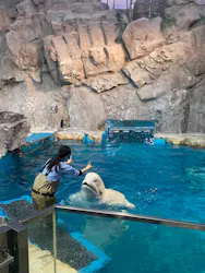 名古屋港水族館に投稿された画像（2026/3/21）