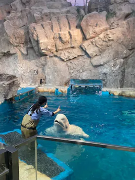 名古屋港水族館に投稿された画像（2026/3/21）