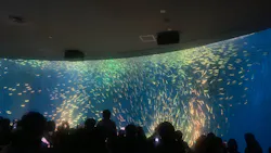 名古屋港水族館に投稿された画像（2026/3/21）