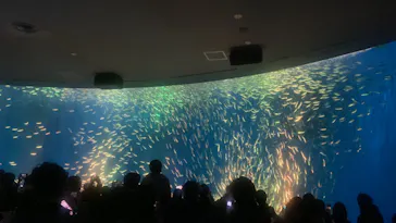 名古屋港水族館に投稿された画像（2026/3/21）