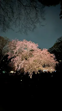六義園に投稿された画像（2026/3/21）