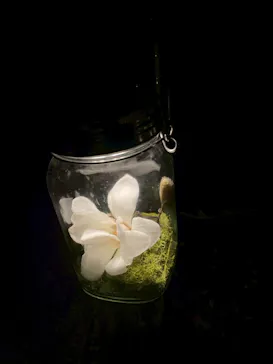 六義園に投稿された画像（2026/3/21）