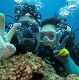 武藤潜水に投稿された画像（2026/3/21）