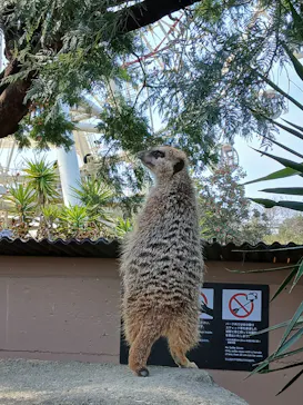 アドベンチャーワールドに投稿された画像（2026/3/21）