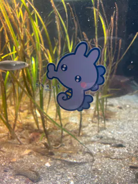 新江ノ島水族館に投稿された画像（2026/3/21）