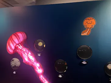 新江ノ島水族館に投稿された画像（2026/3/21）