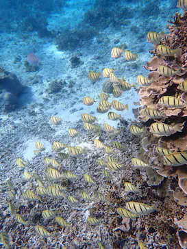 nico 宮古島に投稿された画像（2026/3/21）